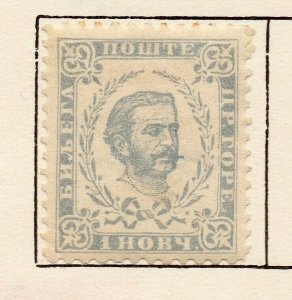 Montenegro 1893 Early Issue Fine Mint Hinged 1n. NW-116041