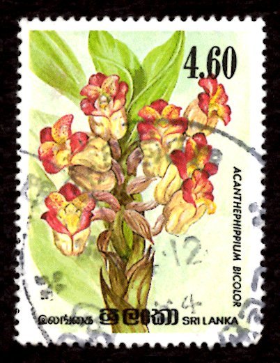 Sri Lanka 1984 Orchid Flowers, Acanthephippium bicolor 4.60r Sc.723 Used (#4)