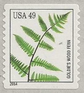 US 4851 Ferns Goldie's Wood Fern 49c coil single (1 stamp) MNH 2014