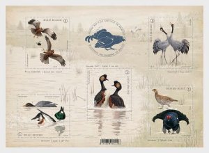 Belgium 2024 Birds Special Courtship Behavior set of 5 stamps in block MNH