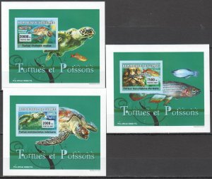 B0156 Imperf 2007 Guinea Fish & Marine Life Turtles 3 Lux Bl Mnh