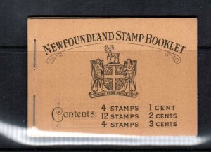 Newfoundland Booklet #2 Extra Fine Mint Complete Booklet