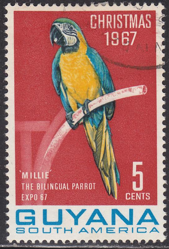 Guyana 34 CTO 1968 Macaw Parrot