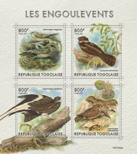 2021/08- TOGO -  NIGHTJARDS      4V  complet set    MNH ** T