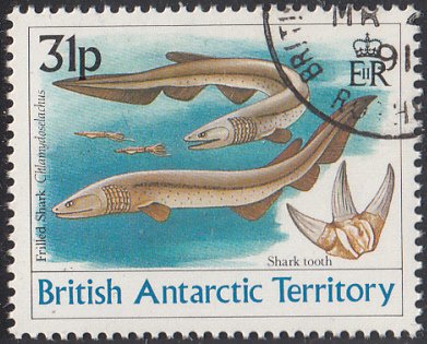 British Antarctic Territory 1991 used Sc #174 31p Frilled shark