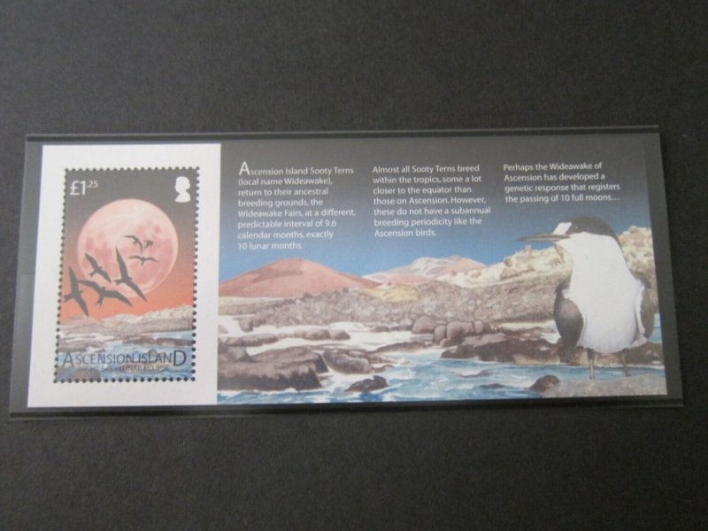 Ascension 2004 Sc 856a bird MNH