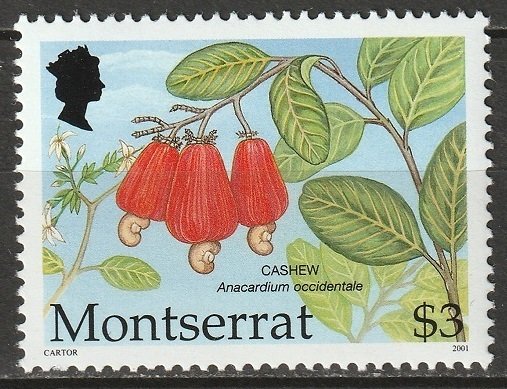 Montserrat 2001 Sc 1053 MNH**