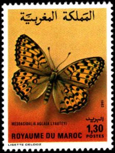 Morocco #528-529, Complete Set(2), 1982, Butterflies, Never Hinged