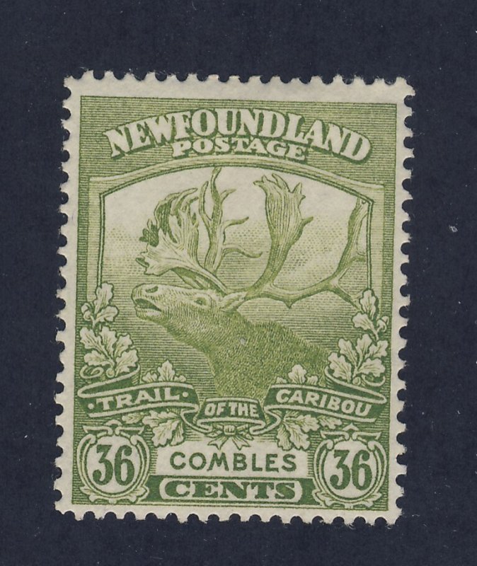 Newfoundland  Stamp #126-36c Trail of Caribou MH F/VF Guide Value = $50.00