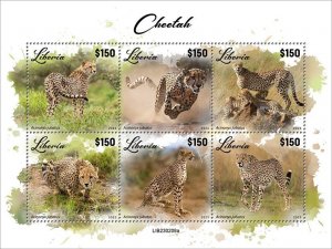 LIBERIA- 2023 - Cheetahs - Perf 6v Sheet - Mint Never Hinged