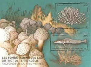 2023- TAAF/SFAT -FRENCH SOUTHERN TERRITORIES- MARINE LIFE  2V  MNH **A