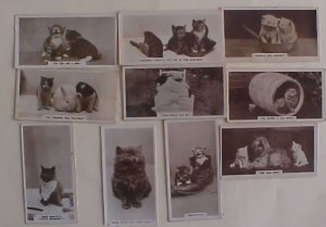 US CATS  10 DIFF CIGARETTE 1890'S GREAT BRITAIN