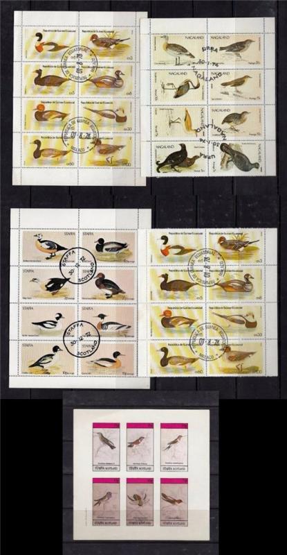 Animals BIRDS CTO&1xMint Guinee Scotland Nayland Ducks  Perf Imperf M/Ssx5 #C943