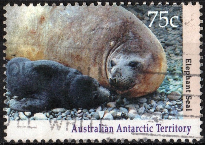 Australian Antarctic SC#L84 75c Southern Elephant Seal (1992) Used
