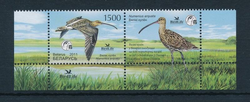 [17567] Belarus 2011 Birds Vögel Oiseaux Ucelli MNH