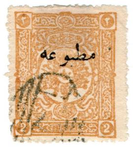 (I.B) Turkey Postal : Newspaper Overprint 5pa