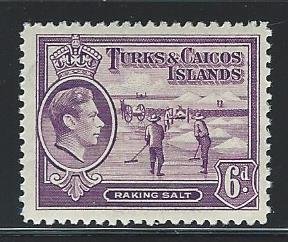 Caicos Islands   mnh S.C. 85