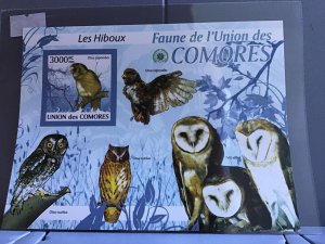 Comoro Islands 2009 Owls  mint never hinged stamps sheet R24108