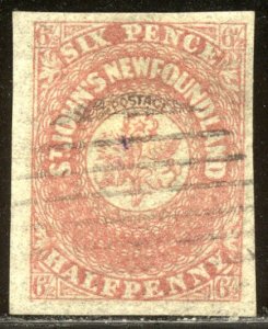 NEWFOUNDLAND #21 Used - 1861 2 1/2p Rose