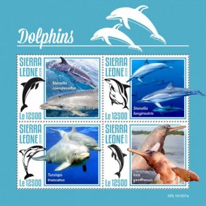 Sierra Leone 2019 MNH Marine Animals Stamps Dolphins Bottlenose Dolphin 4v M/S