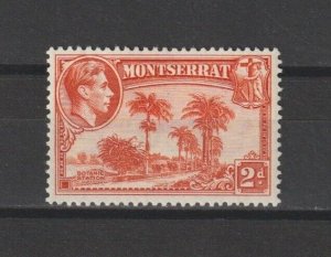 MONTSERRAT 1938/48 SG 104 MINT Cat £25