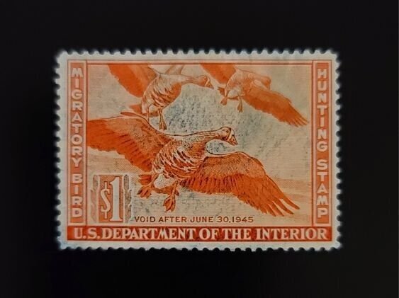 1944 $1 U.S. Migratory Bird Hunting Permit Stamp, Department of Interior, RW11