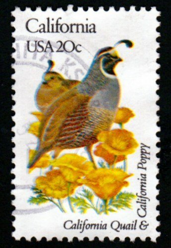 SC# 1957A - (20c) - State Birds & Flowers - California pf 11.25x11 USED Single