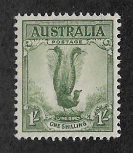 175,MNH