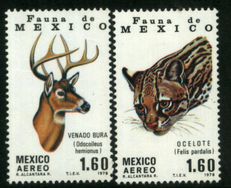 MEXICO C581-C582, Fauna of Mexico Mule Deer and Ocelot. MINT, NH. F-VF.