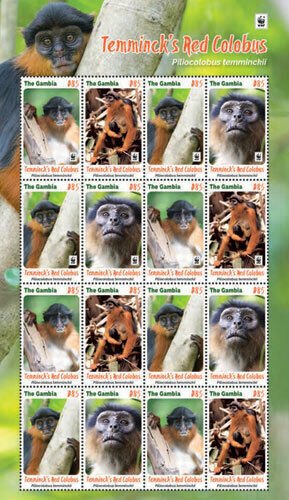 Gambia 2016 - Temminck's Red Colobus Monkey - Sheet of 16 - Scott 3725 - MNH