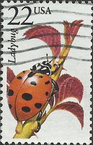 # 2315 USED LADYBUG