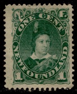 Newfoundland #45 QV Definitive Issue MNG