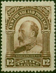 Newfoundland 1911 12c Red-Brown SG115 Fine & Fresh MM