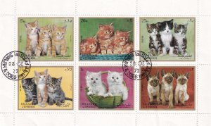 SA17a Sharjah, UAE 1972 Kittens used block