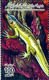 Reptile, Green Lizard On Rock, Libya stamp SC#1568i MNH