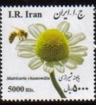 Iran Scott #3145  Medical Flowers  5000 Rial  square 