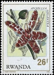 RWANDA   #785 MNH (1)