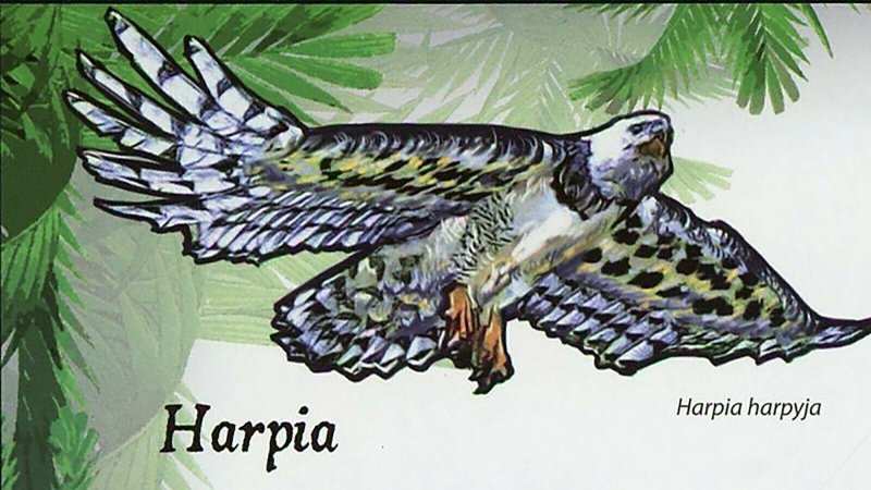 Harpy Stamp Bird Harpia Harpya Eagle Souvenir Sheet MNH #4378 / Bl.414