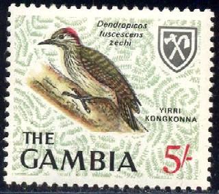 Bird, Cardinal Woodpecker, Gambia stamp SC#225 MNH