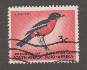 South Africa 321 Bird