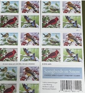 Songbirds in Snow 5 Books of 20pcs total 100 pcs