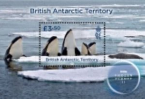 2023/03- BRITISH ANTARCTIC - FROZEN PLANET II   BF 1V complet set MNH**T