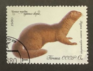 Russia  1980 Scott 4840 used - 6k,  Fur animals,  European Mink