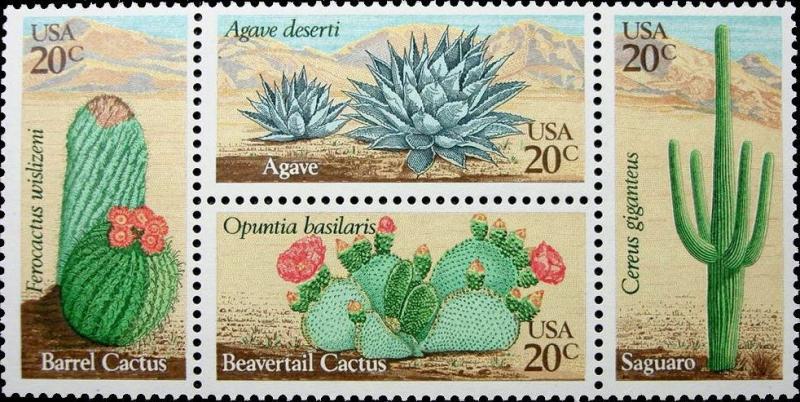 1981 20c Desert Plants, Saguaro, Agave, Block of 4 Scott 1942-45 Mint F/VF NH