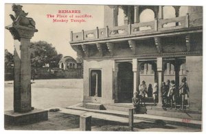 Postcard India 1910 Benares Waranasi Monkey Temple The Place of Sacrifice