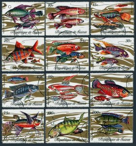 Guinea 570-581,CTO.Michel 571-582. Various fish of Guinea,1971.