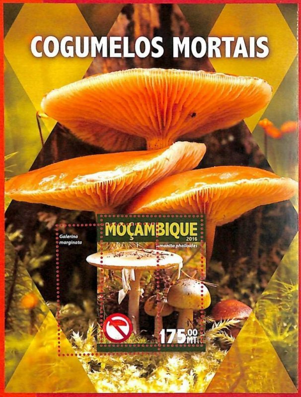 A4239 - MOZAMBIQUE - ERROR MISPERF, Souvenir sheet: 2016, Mushrooms
