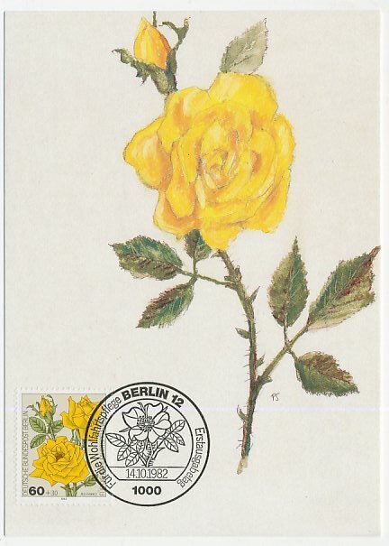 Maximum card Germany / Berlin 1982 Rose