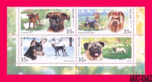 RUSSIA 2019 Nature Fauna Domestic Farm Animals Pets Decorative Dog Breeds 4v MNH