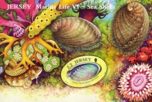 Jersey Sc 1213 2006 £2 Sea Shells stamp sheet mint NH